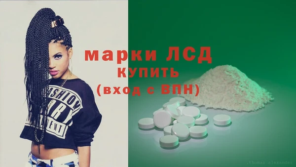 винт Алзамай