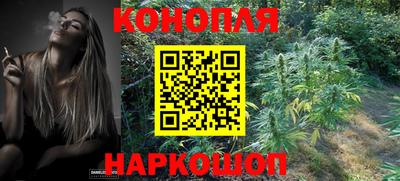 гидра Обь