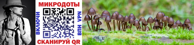 Псилоцибиновые грибы мухоморы  Тавда 