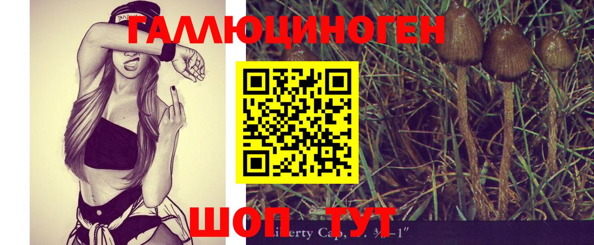 Псилоцибиновые грибы GOLDEN TEACHER Тавда